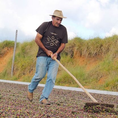 Medium Roast Coffee: Harvest Blend Ground