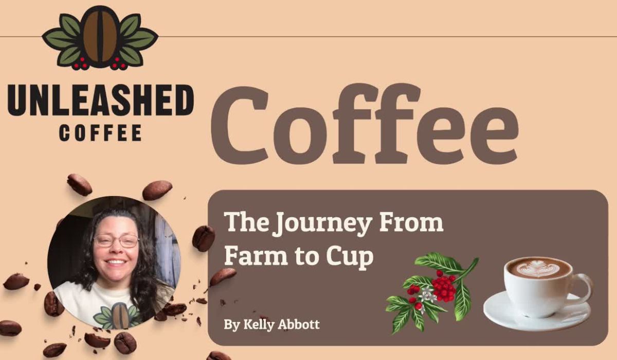 The Journey From Farm to Cup