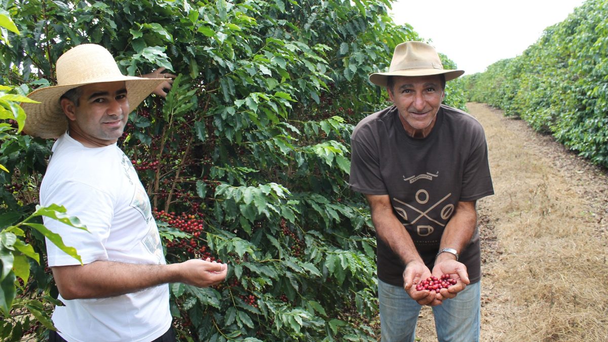 Unleashed Coffee Farm Partner: Fazenda Mandacaru Farm