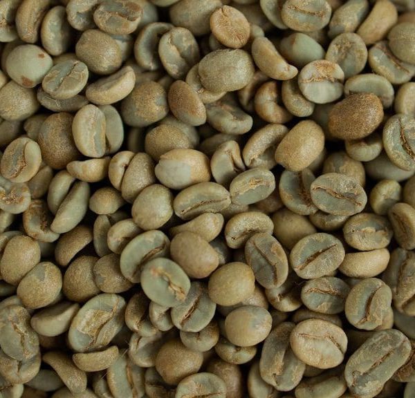 Unleashed Coffee: Premium Green Coffee Beans