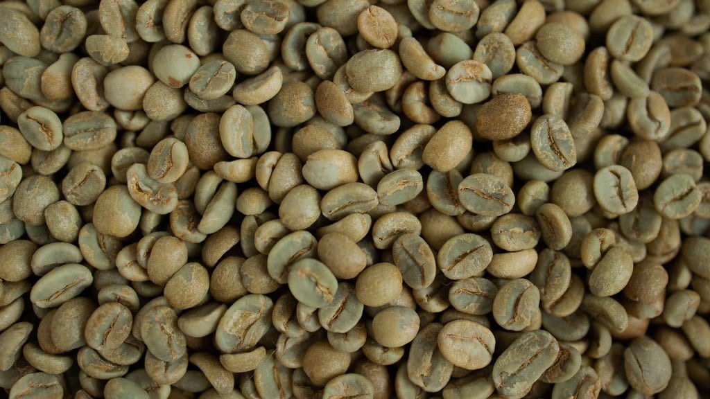Shop green coffee beans online